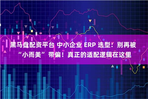 黑马盘配资平台 中小企业 ERP 选型：别再被 “小而美” 带偏！真正的适配逻辑在这里